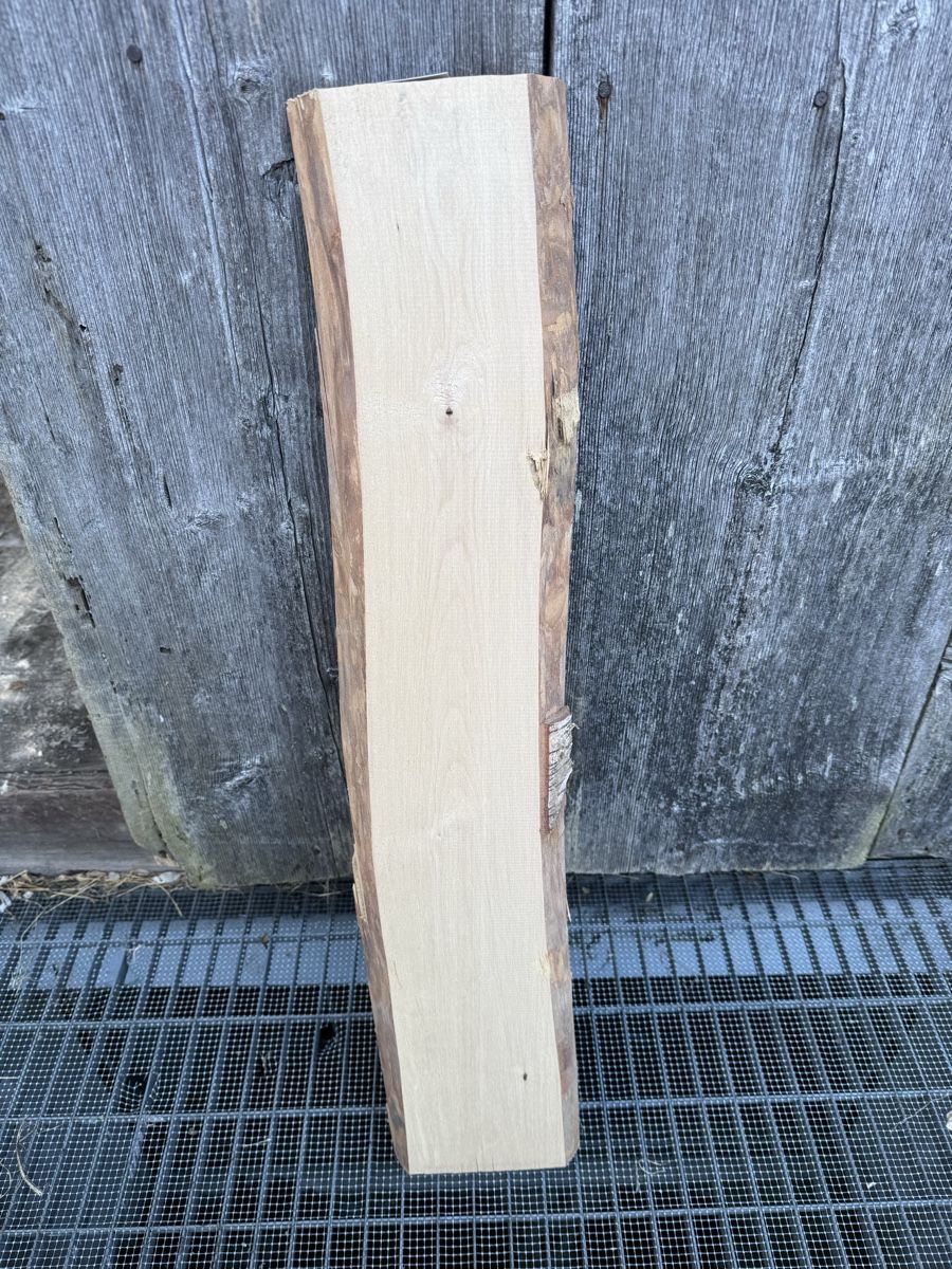Articoli in legno: Eschenholz Brett gehobelt – Nuovo (secondo la descrizione) da Frick venduto da nannali98