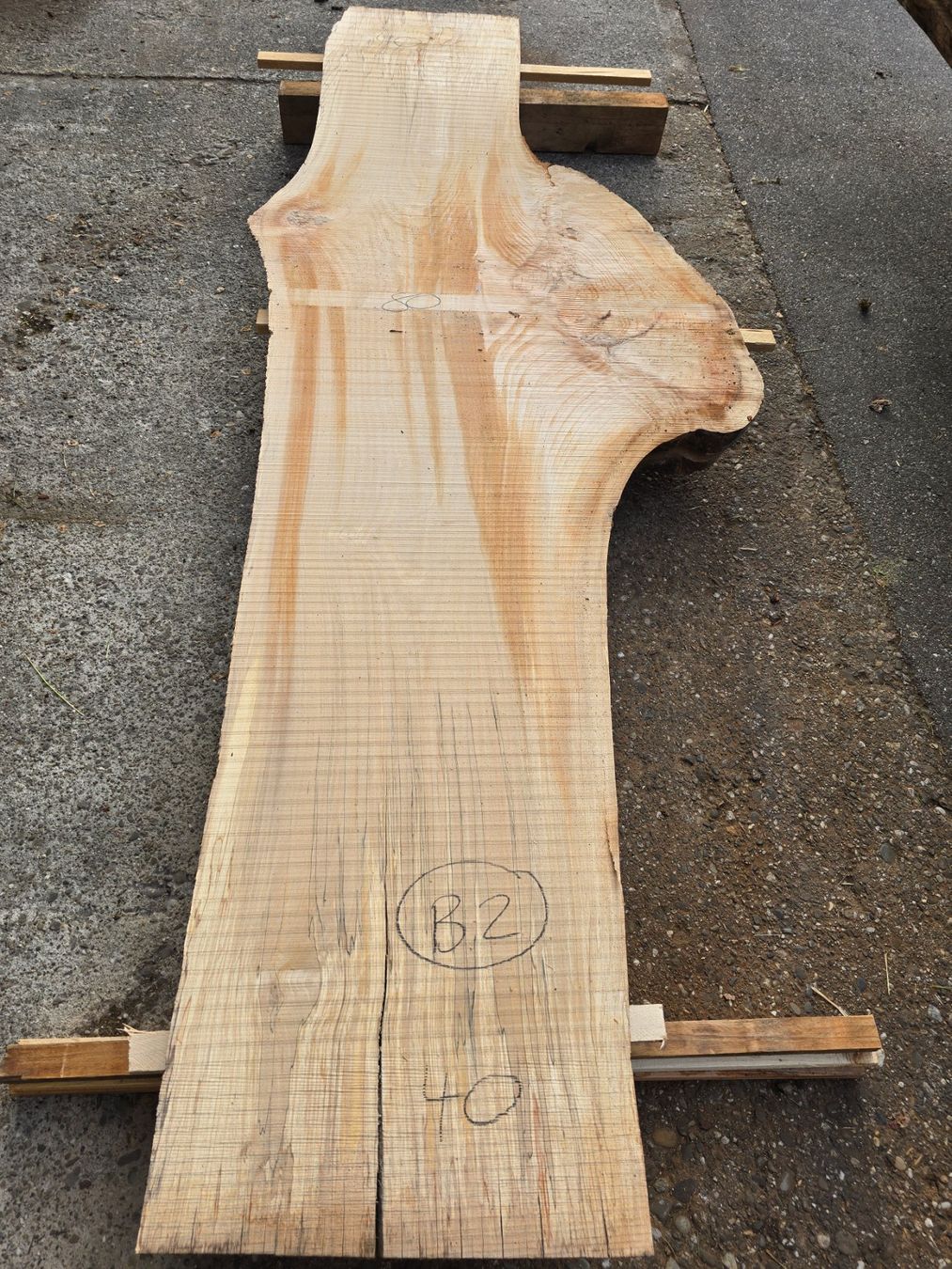 Articoli in legno: Buchenknollen Brett – Nuovo (secondo la descrizione) da Ramsei venduto da Waelchris 8