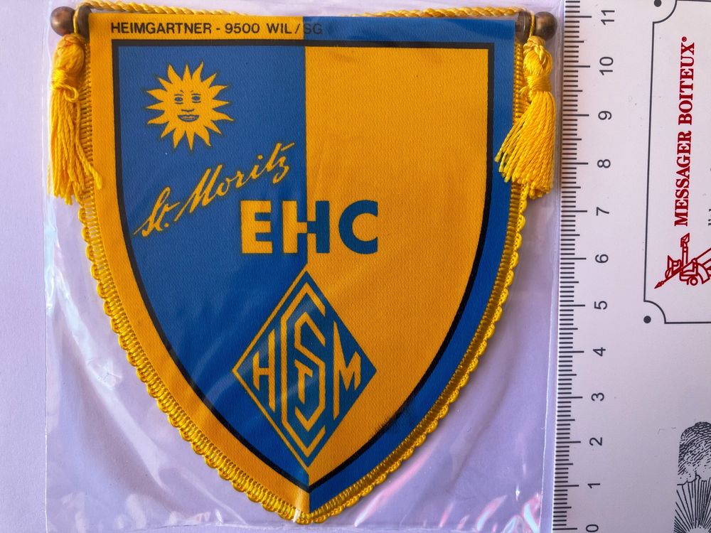 Ancien Fanion / Wimpel VSE EGGER ST. POLTEN – Autriche – Vintage