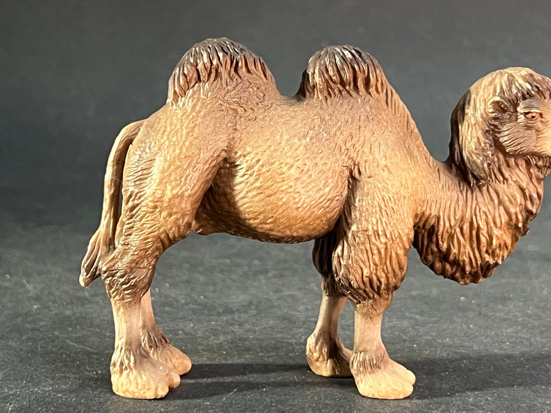Schleich Statuette: Schleich Trampeltier Rarität Kamel – Usato da Ennetbaden venduto da mapa05 3
