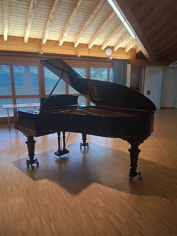 Instruments de musique: Bechstein Flügel B – D'occasion à Dornach par inf_vtl8