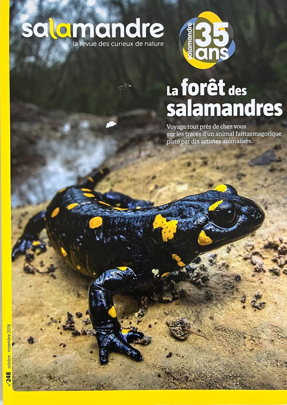 Riviste & Magazine: La Salamandre - 3 numéros – Usato da Le Crêt-p-Semsales venduto da staglione69 2