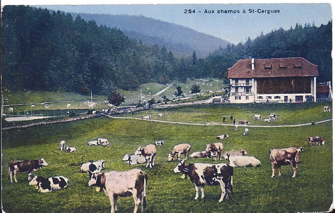 Ansichtskarten: ST. CERGUES, aux champs – Gebraucht aus Les Verrières von Scampi0