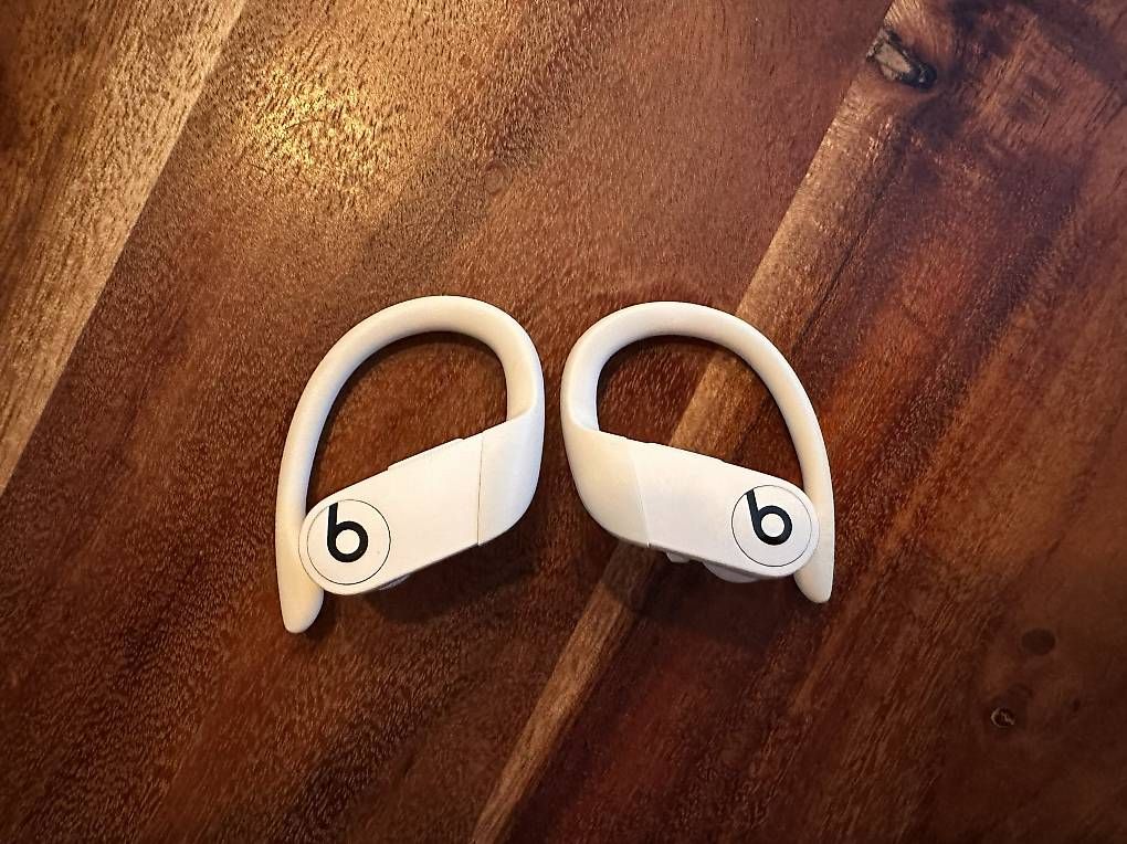 Beats Cuffie: Beats Powerbeats Pro – Usato da Zug venduto da mimser 4
