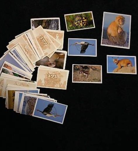 Migros Carte collezionabili: 10 Stück Mountain-Mania Sticker – Nuovo (secondo la descrizione) da Erlenbach ZH venduto da Ritschly 1
