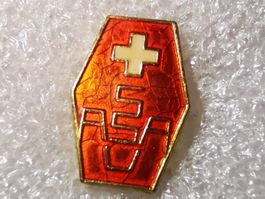 Ansteckpin 11: ASA SSV