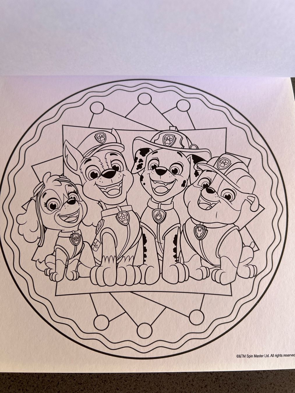 Libri: PAW Patrol Mandala Ausmalbuch – Usato da Winkel venduto da Tilivika 2