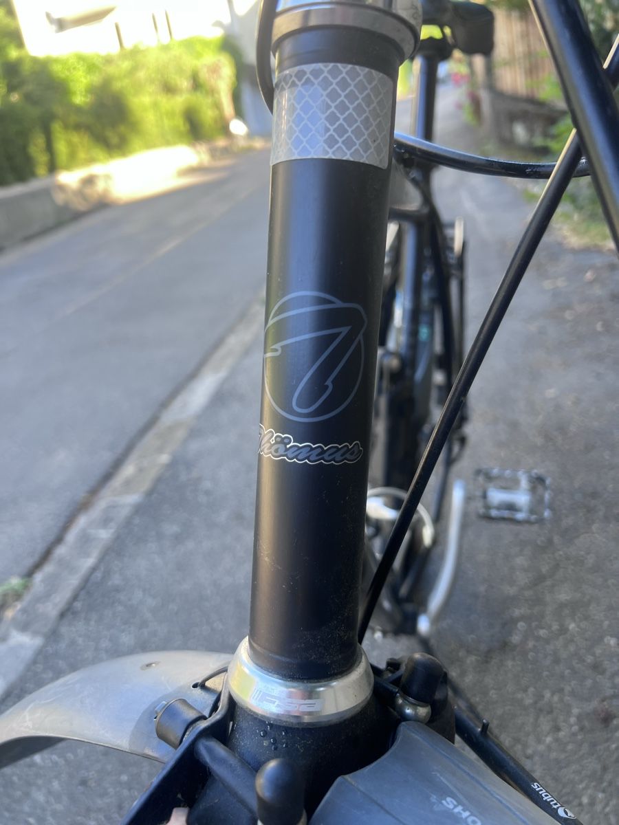 Velos: Thömus Herrenfahrrad – Gebraucht aus Bern von vangew 3