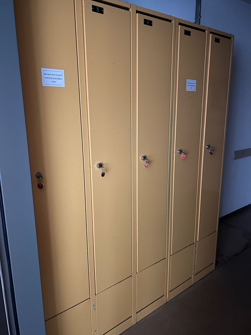 Guardaroba: Garderobenschränke / Spind – Usato da Wald ZH venduto da Canix67 1