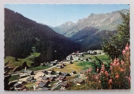 Morgins - Vue générale