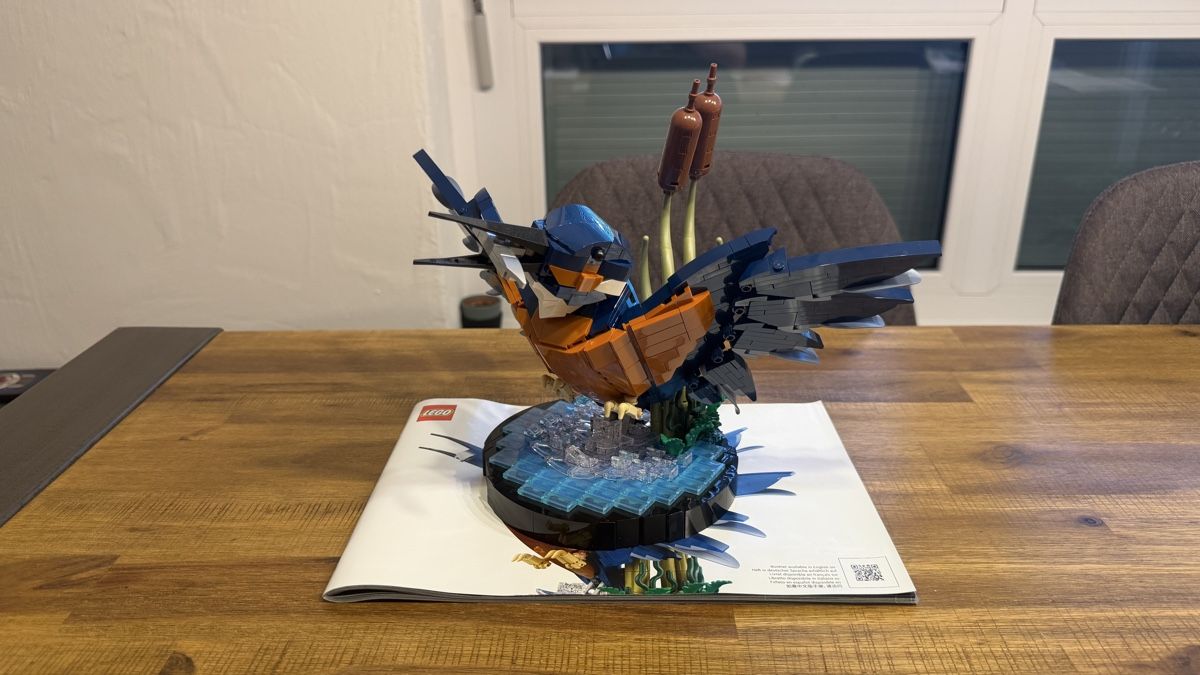 Lego Kit di costruzioni: Lego Icons 10331 Eisvogel – Usato da Opfikon venduto da andi_campi