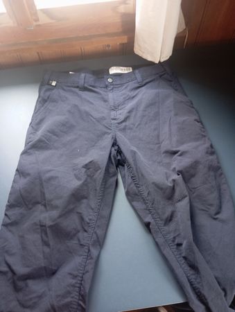 carhartt pants