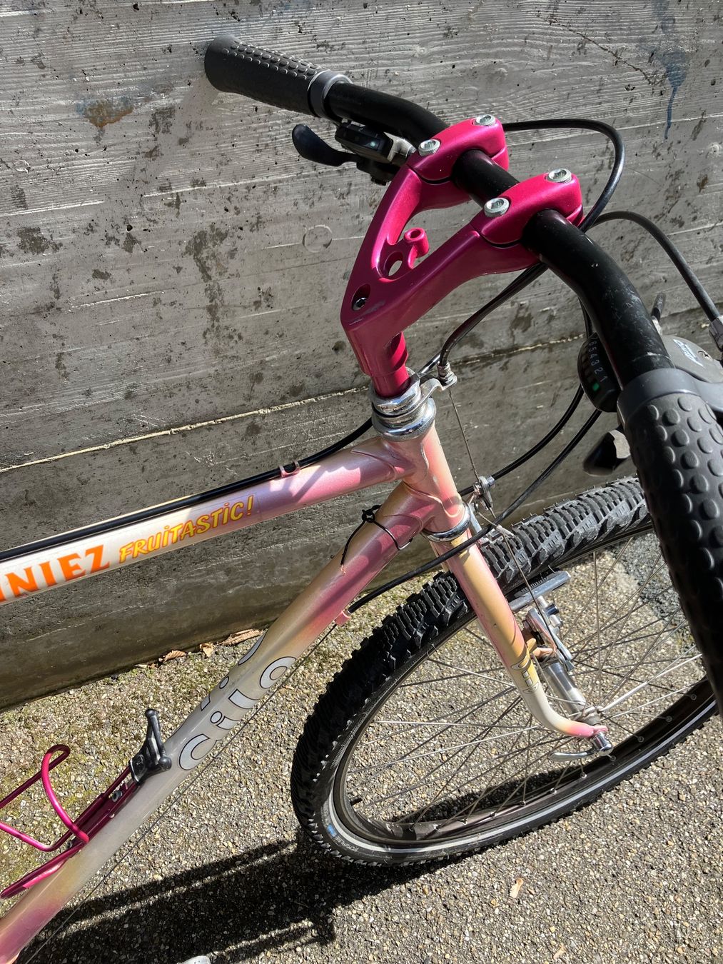 Cilo Biciclette: Cilo Henniez Mountain Bike / MTB – Usato da Zürich venduto da Sfass 1