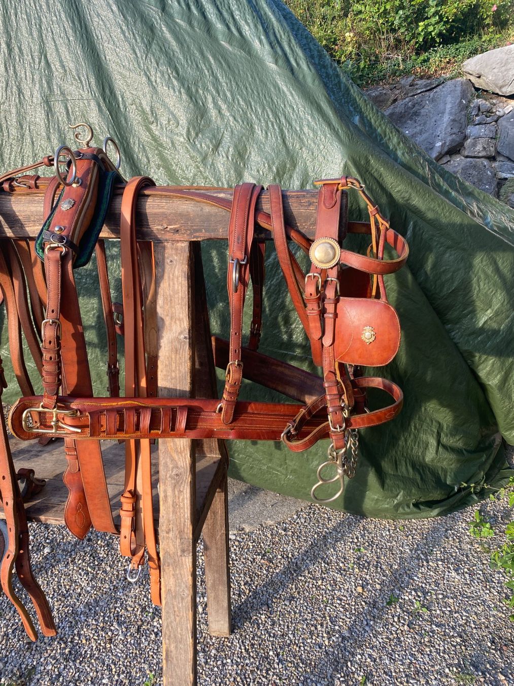 Carrozze: Pferdegeschirr Kutsche Pferde – Usato da Mogelsberg venduto da Gregor6132 1