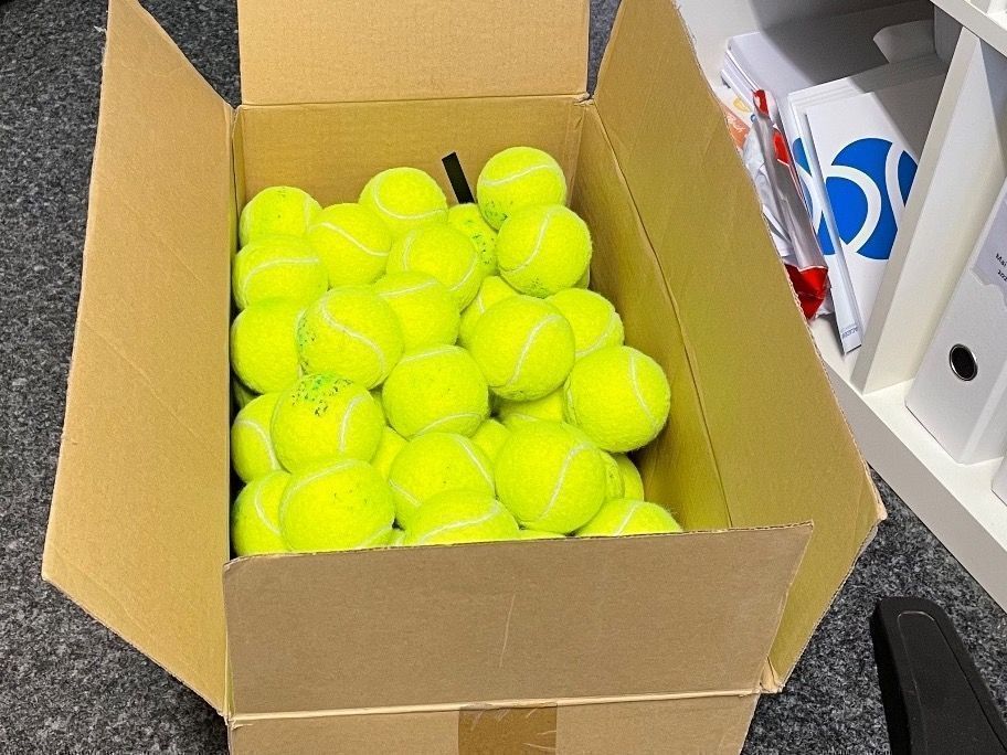 Head Palloni: Tennisbälle – Usato da Lachen SZ venduto da Jcscherrer 1