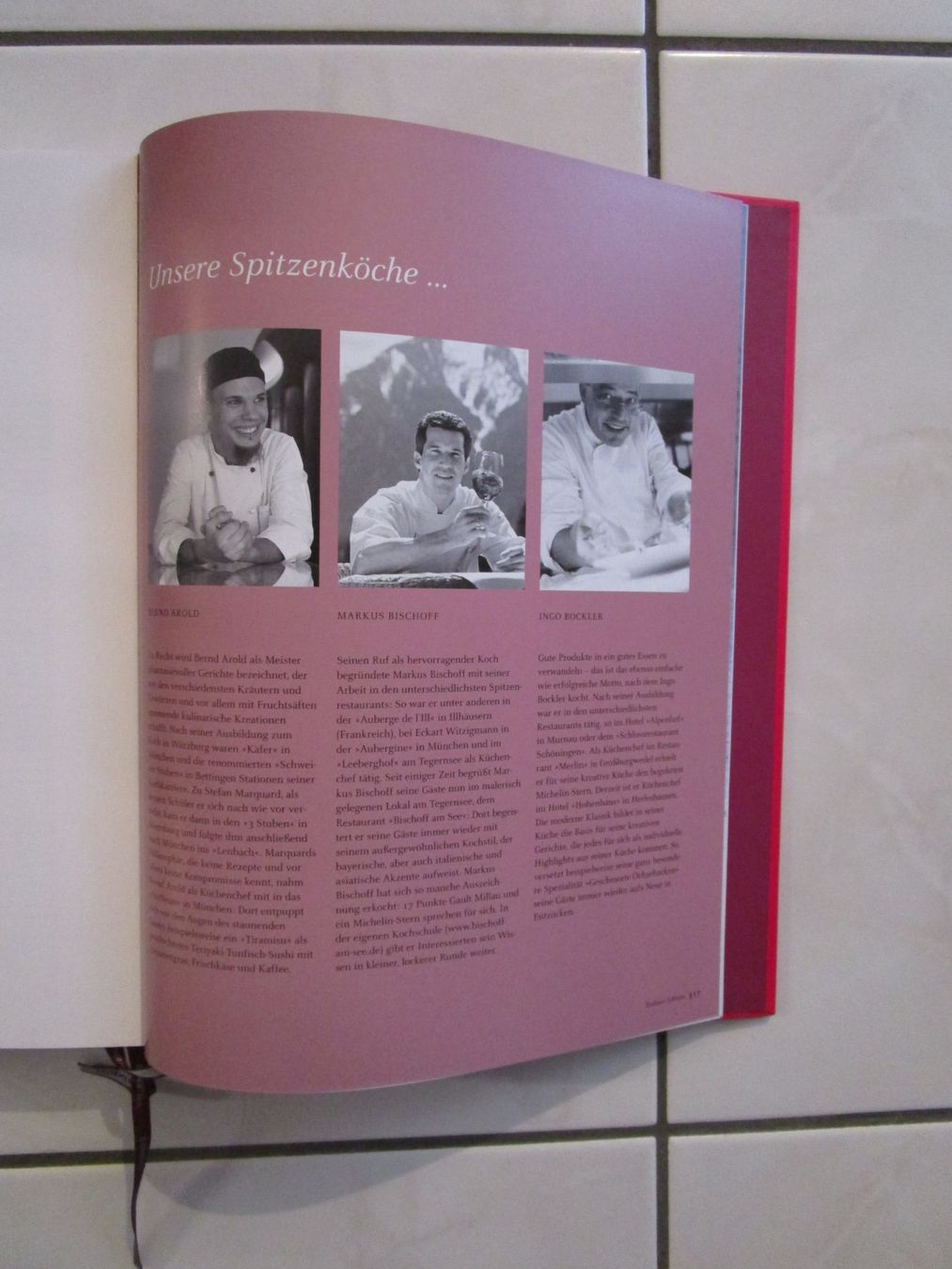 Libri: Teubner Das grosse Buch vom Fleisch 2006 – Usato da Volketswil venduto da Megaissimo 2