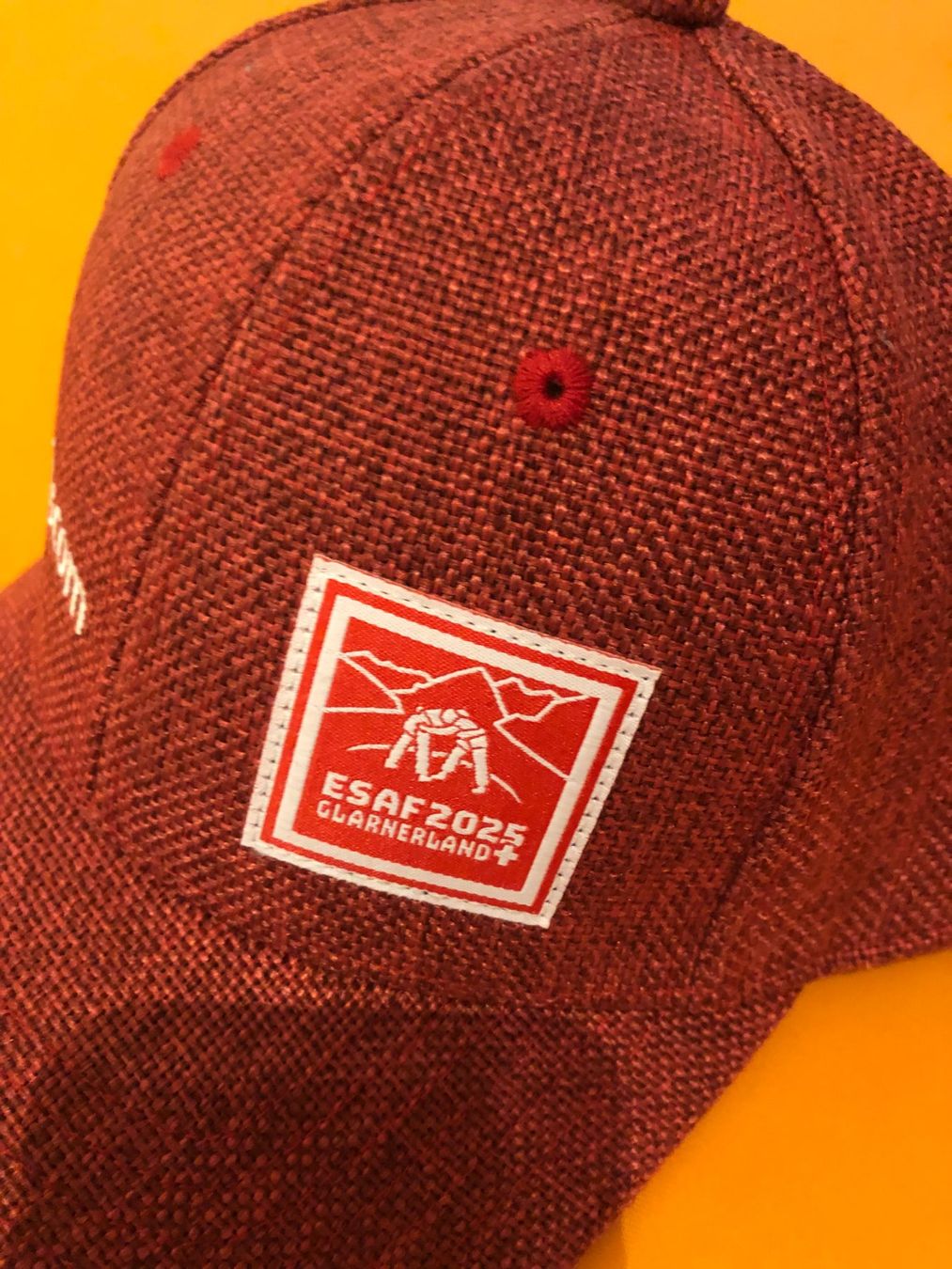 Sonstige Kleidung & Accessoires: Swisscom ESAF 2025 Cape – Gebraucht aus Erlen von astra2013 1