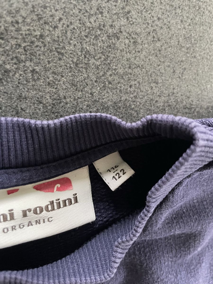 Mini Rodini Pulls et sweat-shirts: Pullover / Sweatshirt Gr. 116/122 Mini Rodini – D'occasion à Aesch ZH par lawas 1