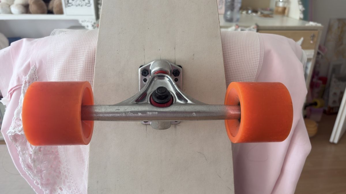 Skateboards: Longboard – Gebraucht aus Tagelswangen von fireiceprincess 4