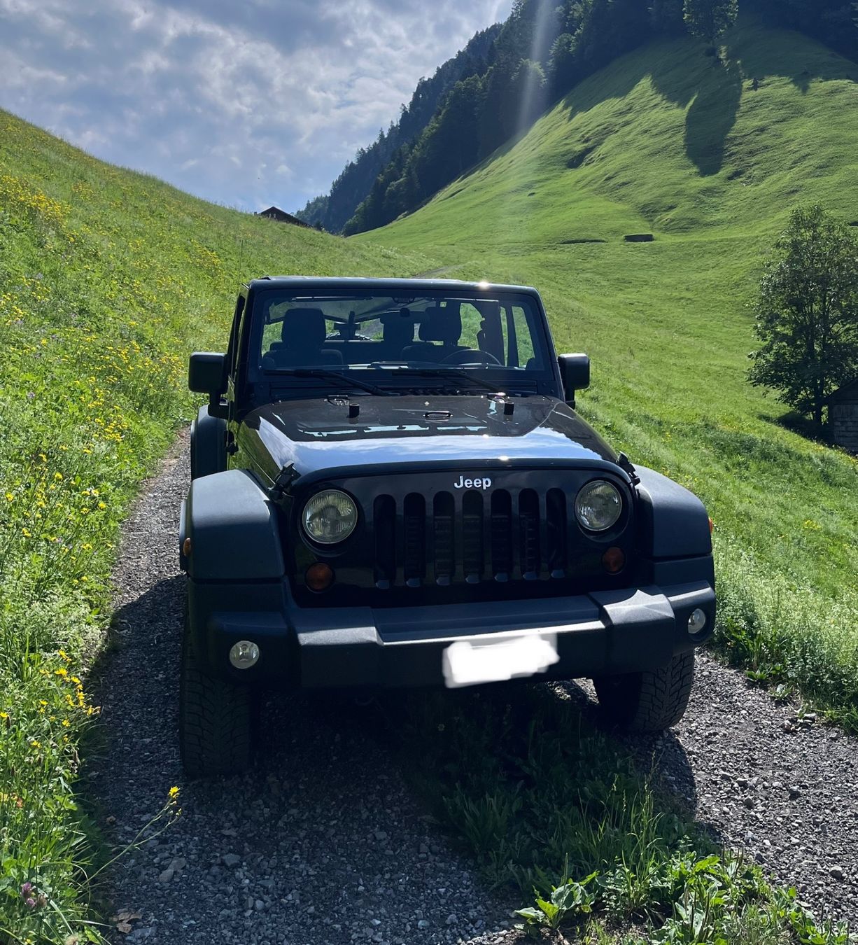 Jeep Automobili: Jeep Wrangler CRD 2.8 – Usato da immensee venduto da negsler 1