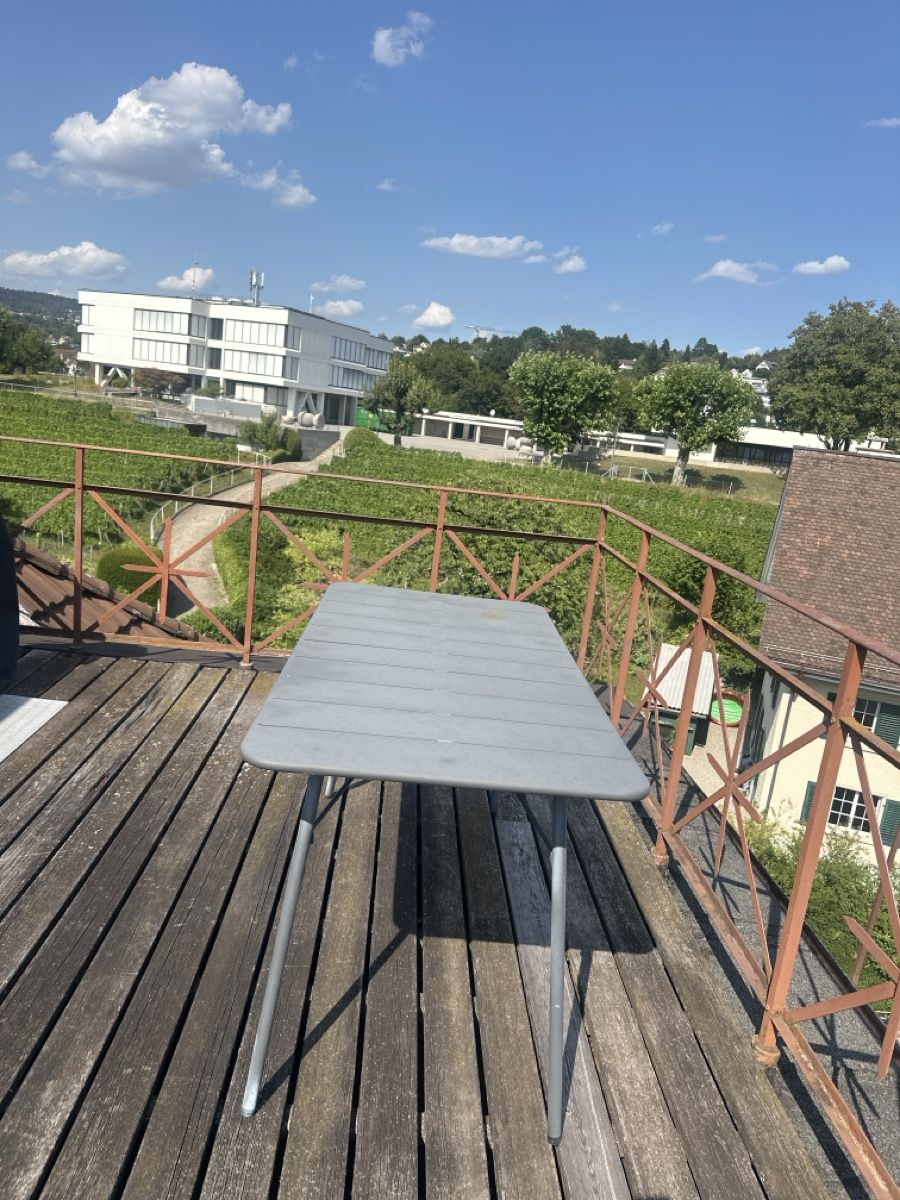Tische: Gartentisch aus Metall – Gebraucht aus Zollikon von 19leo90
