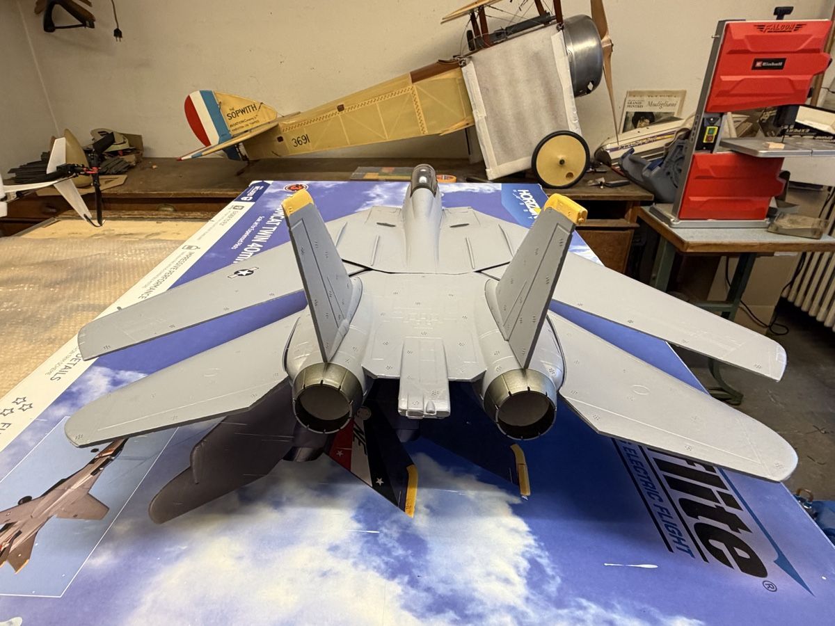 E-Flite Modellismo RC: F14 E-flight – Difettoso da Chêne-Bougeries venduto da Varioskyfox1982 5