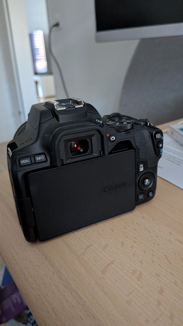 Canon Kamera: Canon EOS250D – Gebraucht aus Frauenfeld von Ragons77 7