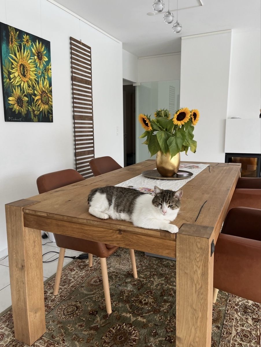 Conforama Tische: Tisch (ohne Katzen) 200x100x77 Eiche – Gebraucht aus Meggen von Aldaris
