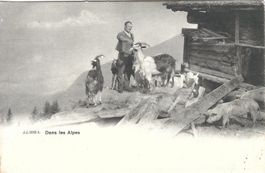 CPA Suisse - Dans les Alpes