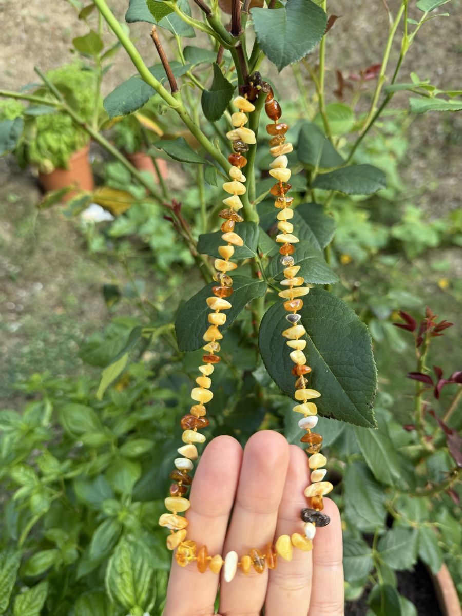 Ketten: Amber necklace mixed colors - new – Neu und originalverpackt aus Corsier GE von Karol_save_planet 2