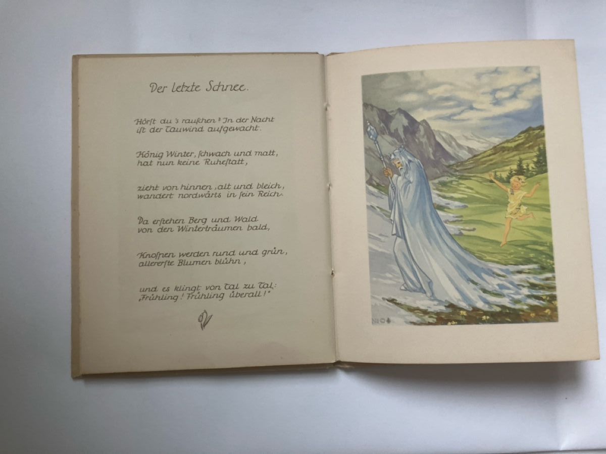 Libri: Schnee und Eis Nora Scholly – Usato da ZUERICH venduto da Carolus1 7