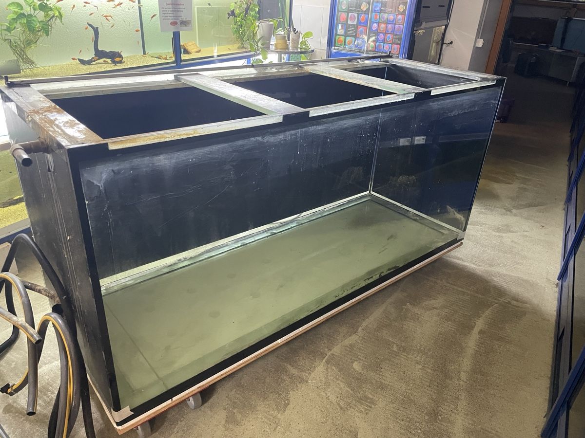 Acquari: 1750l Aquarium 220x80x100 – Usato da Oftringen venduto da Aqualuz