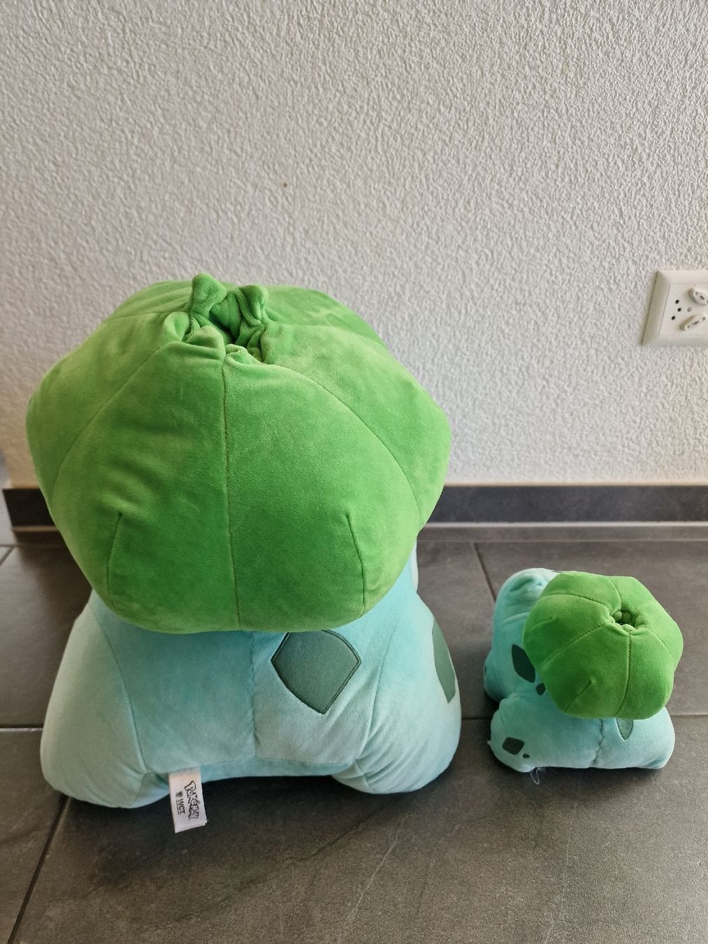 Pokémon Giocattoli: Pokemon Bisasam Plüschtier Set – Usato da Koppigen venduto da Kellerfundsachen 2