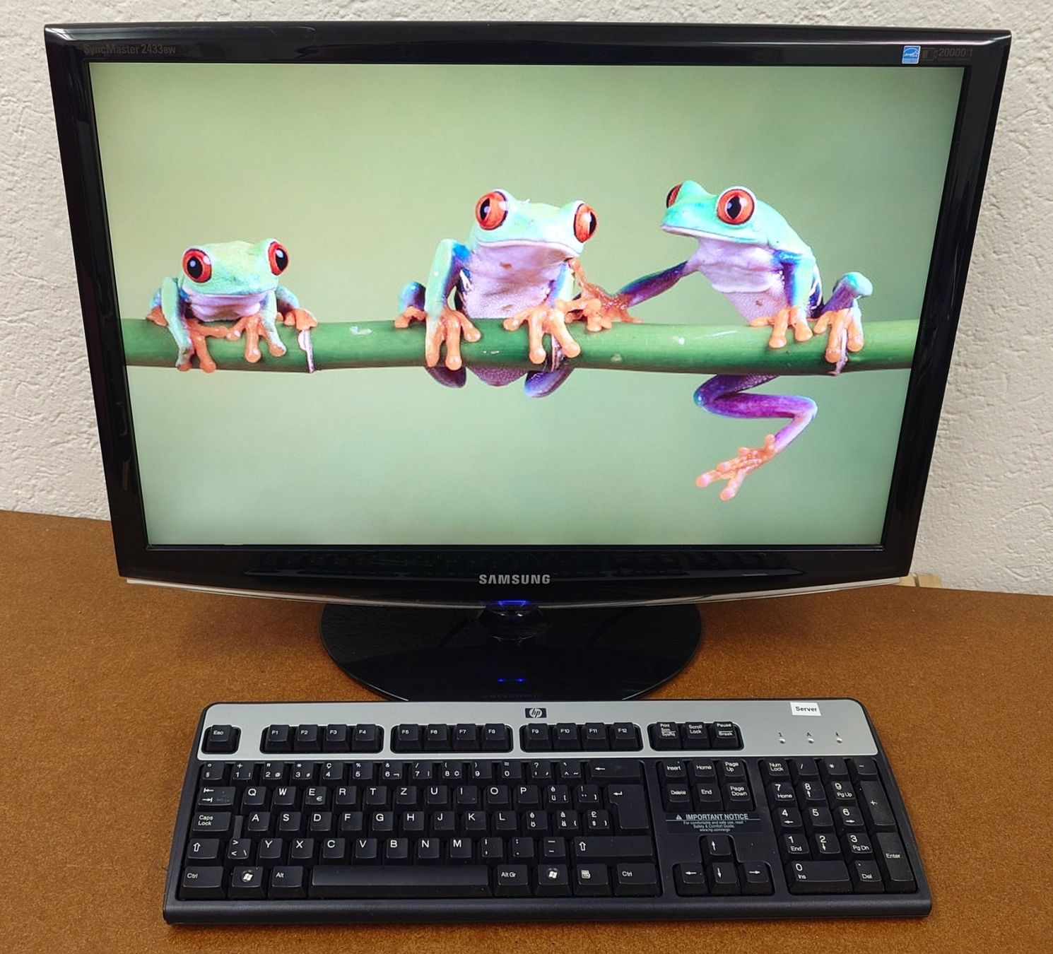 Samsung Monitor: Samsung SyncMaster 2433BW 24" Monitor - getestet – Usato da Ostermundigen venduto da Chrisascht 5