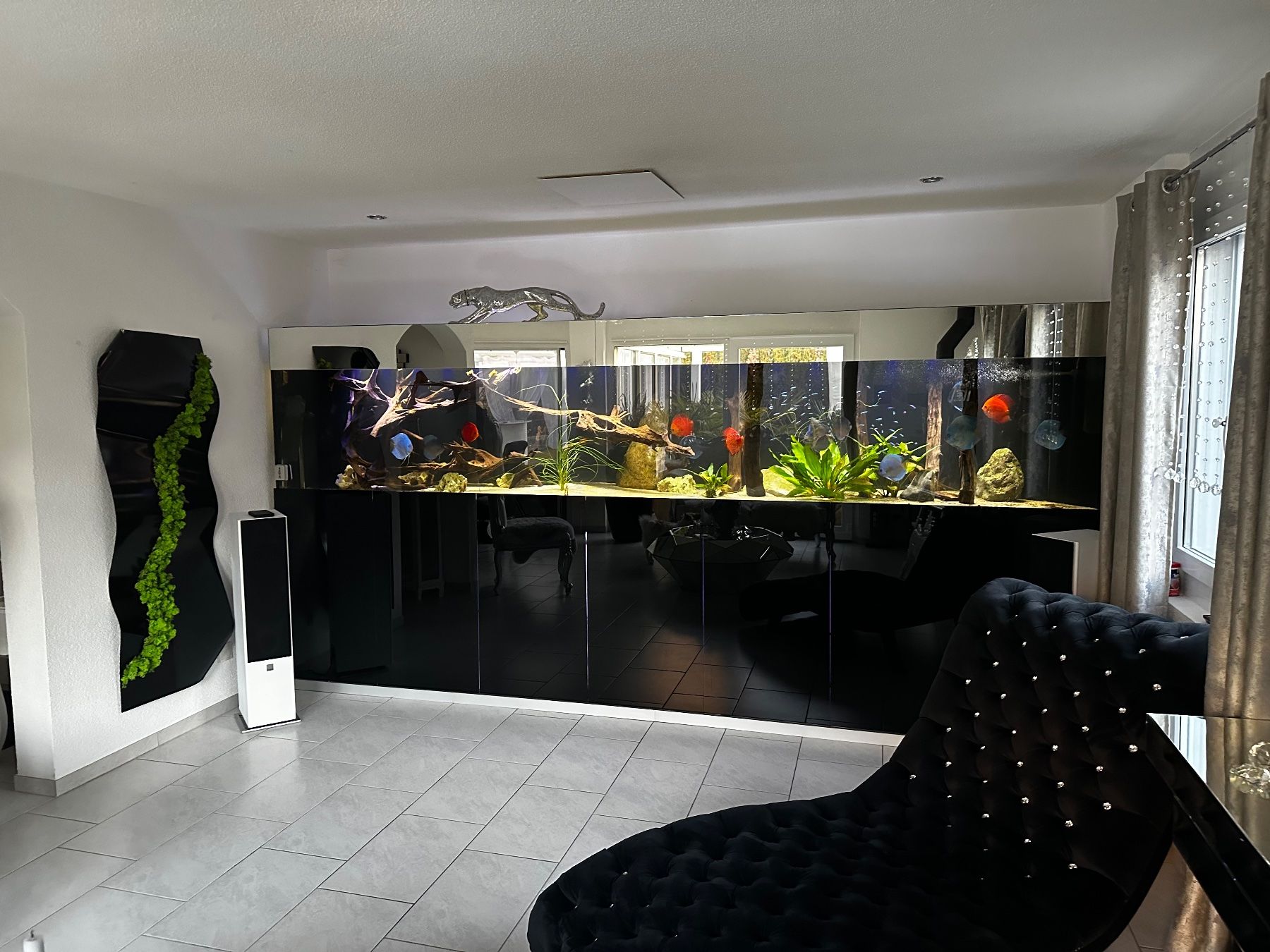Acquari: Gross Aquarium 400x60x80 – Nuovo (secondo la descrizione) da Berikon venduto da fischundart 4