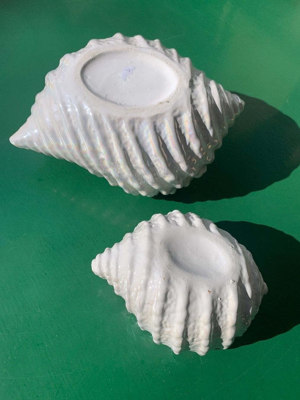 Alle Dekorationen: Muscheln Porzellan – Gebraucht aus Altdorf UR von StayClassy 6