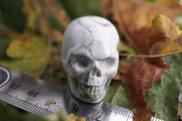 Howlith     Skull 40mm  –Edelsteinstube Rausverkauf