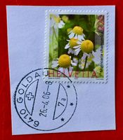 CH BRIEFMARKEN VOLLGESTEMPELT GOLDAU Siehe Original Foto   