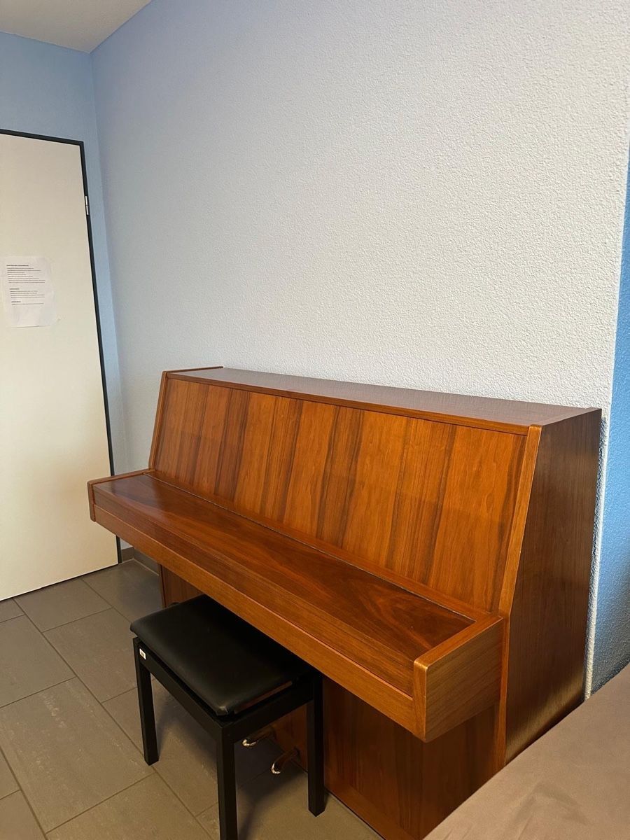 Strumenti musicali: Klavier Nordiska – Usato da Starrkirch-Wil venduto da ant_5bgq 1