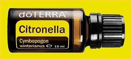 Oli essenziali: Citronella DoTerra - 15 ml – Usato da Medeglia venduto da kat-ugo