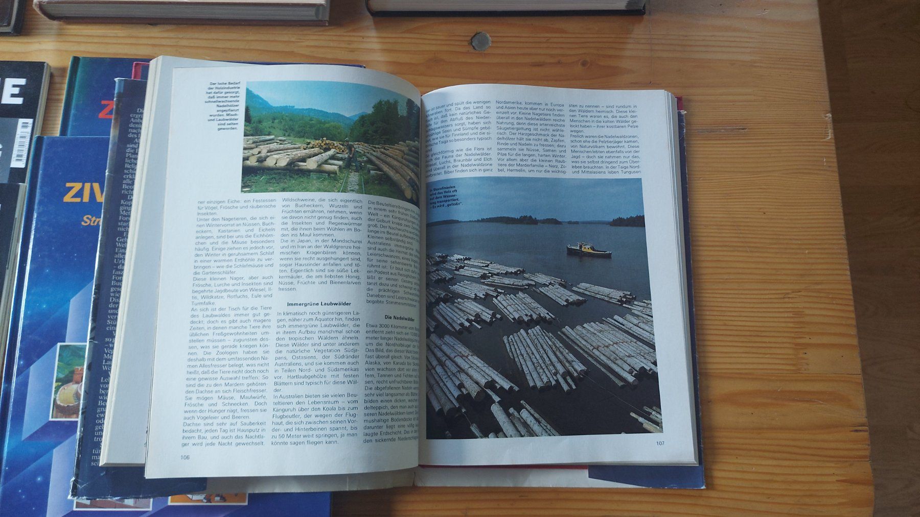 Bücher: Bücher über Endecker, Phänomene, Weltwunder, – Gebraucht aus Goldau von Pfarrhof 3