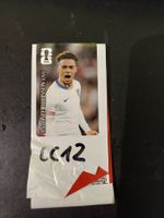 Panini Cola CC12 A. Robinson