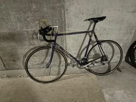 Klassisches Rennvelo / Vintage Trek Rennrad
