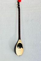 Albanisches Musikinstrument Qifteli