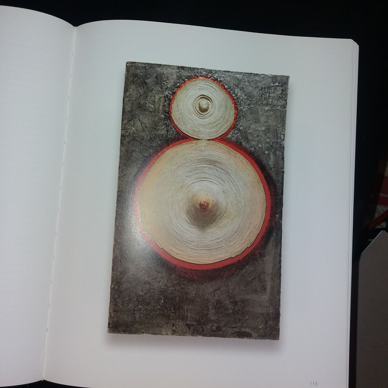 Bücher: KUNSTKLASSIK Eva Hesse – Gebraucht aus Welschenrohr von Regool 4