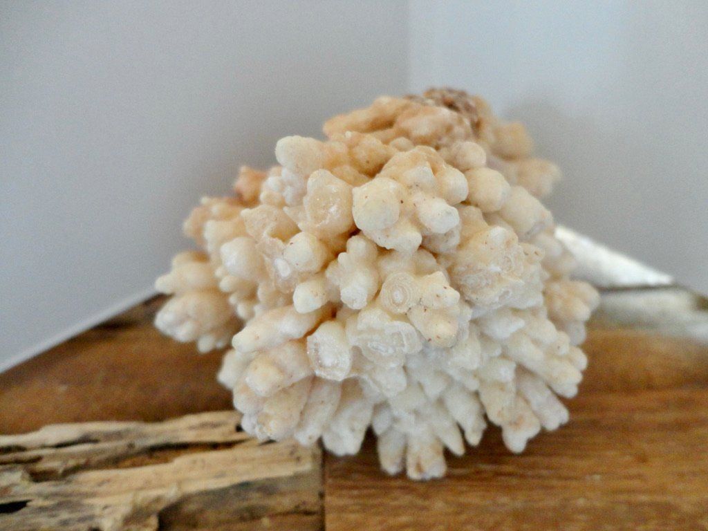 Edelsteine: Calcit- Stufe Korallenform – Neu (gemäss Beschreibung) aus Biberist von Steine 1