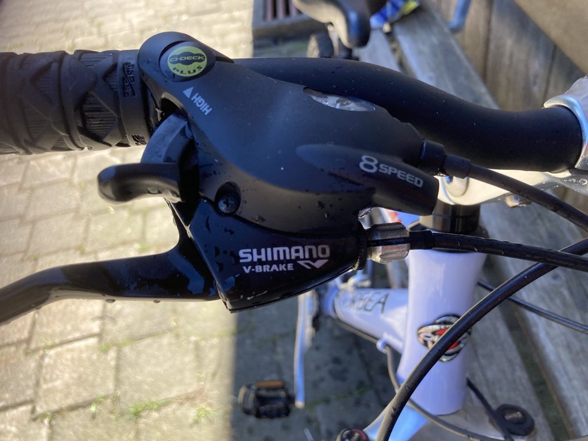 Orbea Biciclette: Orbea Paradise Mountainbike – Usato da Jaun venduto da walin2 5