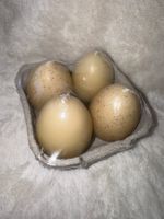 4er Set Eierkerzen, Osterdeko, Farbe Creme, Neu & OVP