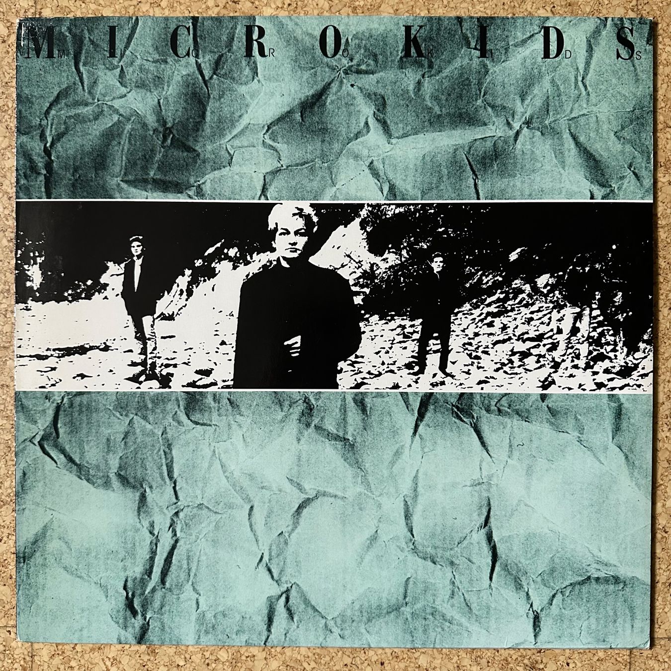 Dischi in vinile: LP - Micro Kids – Micro Kids – Usato da Breganzona venduto da Onairda75