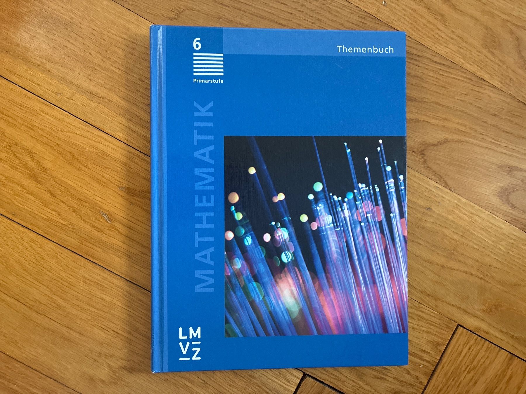 Libri: LMVZ Mathematik Themenbuch 6. Klasse – Usato da Zollikon venduto da mythenschloss
